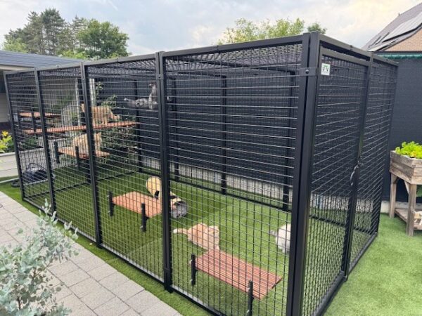 Kattenren 2 x 4 met gaas dak panelen in zwart