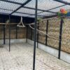 maatwerk papagaaien kooi